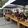 Narodowe Czytanie 2017